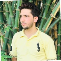 M Nauman