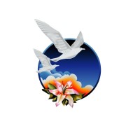 New Image Health Sciences Uganda Ltd