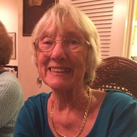 Dorothy Bracchi