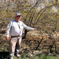 Álvaro Martín Umpire López