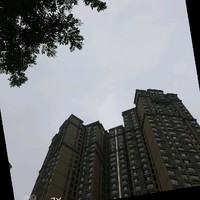 陈晓庆