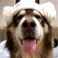 尹晓雪