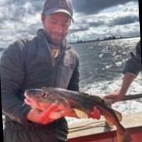 Mikkel Bendix Hjort Jensen