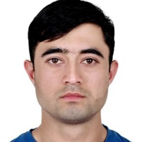 Malik Mir Afzaly