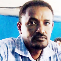 Tafesse Amare (ታፈሰ ኣማረ)