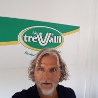 Sandro Tessarin