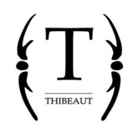 Thierry Athenon
