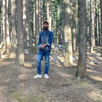 Muhammad Hamza Hanjra