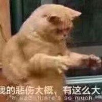 覃振宝