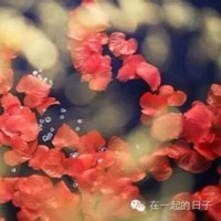 付军锋