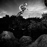 Rob Newman