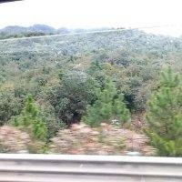 管国辉