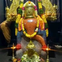 Lavangu Divya