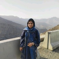 Areeba Azhar Dha Qualified Physiotherapist