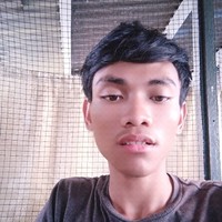 Arif Ilman