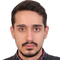 Nima Hojjat