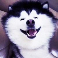高宏远
