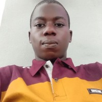 Adebiyi David Adewale