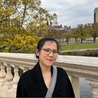 Anh Dinh