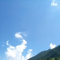 李林军