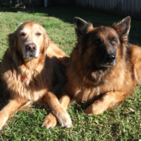 Audrey Slater