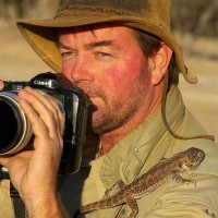Chris Collard
