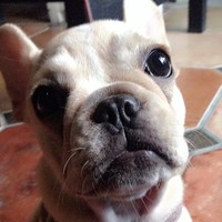 谢秀云