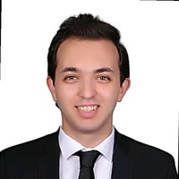 Mahmoud Wafy
