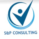 S N P Consulting