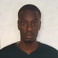 Hamidou N'Diaye