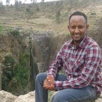 Tsehaye Abreha