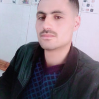 فوزي مضوي