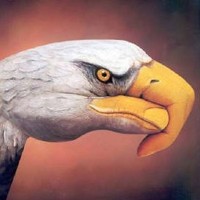 Gold Eagle
