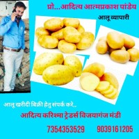 Aditya Pandey