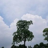 张元印