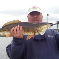 Bill Bennett
