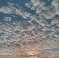 دلال الشمري.