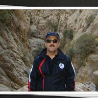 afshin kiani