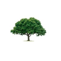 Ultimate Tree and Yard Work