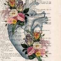 Kim Mettler