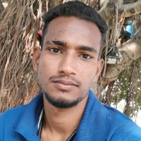 Sankar M