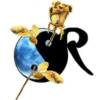 Ricardo Quiroz Cortes