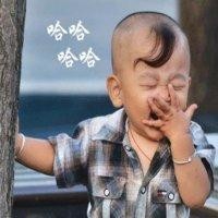 胡宏元