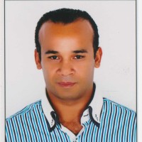 Mohamed Ibrahim
