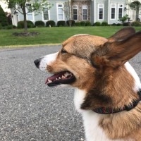 Coco P.