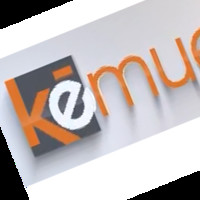 DAVID FLORES CARRILLO