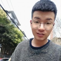 冯智力