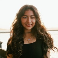 Haya Ansari