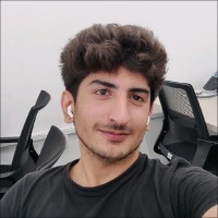 Hamza Tariq