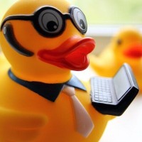 Don Ducky